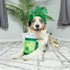 Huxley & Kent Power Plush Lucky Pup Irish Latte Dog Toy Small - Poudre Pet & Feed Supply 2